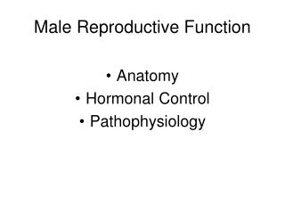 Male Reproductive Function