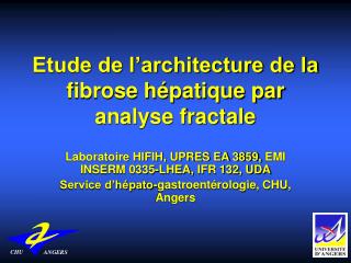 Etude de l’architecture de la fibrose hépatique par analyse fractale