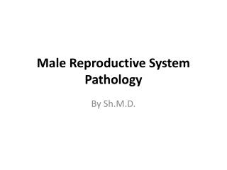 Male Reproductive System Pathology