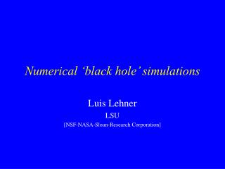 Numerical ‘black hole’ simulations
