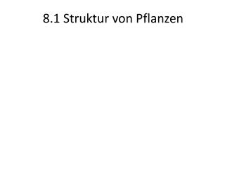 8.1 Struktur von Pflanzen