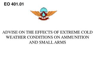 ADVISE ON THE EFFECTS OF EXTREME COLD WEATHER CONDITIONS ON AMMUNITION AND SMALL ARMS