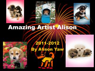 Amazing Artist Alison