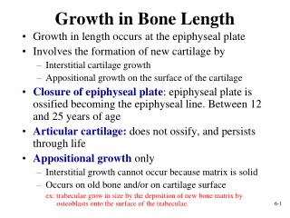 Growth in Bone Length