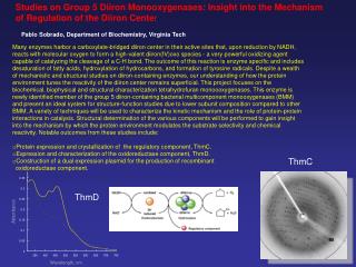 Studies on Group 5 Diiron Monooxygenases: Insight into the Mechanism
