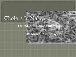 Cholera In Malaysia