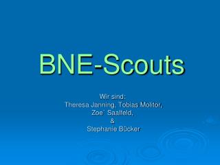 BNE-Scouts
