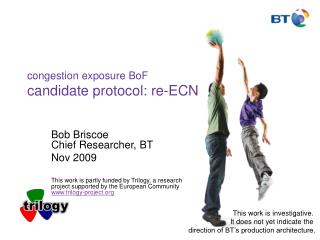 congestion exposure BoF candidate protocol: re-ECN