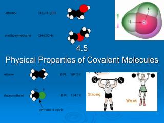 4.5 Physical Properties of Covalent Molecules