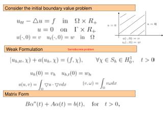 Consider the initial boundary value problem