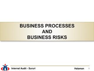 BUSINESS PROCESSES AND BUSINESS RISKS