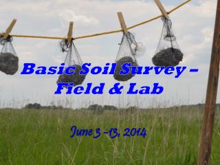 Basic Soil Survey – Field & Lab