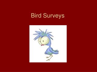 Bird Surveys