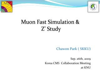 Muon Fast Simulation & Z’ Study