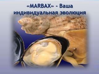 «MARBAX» - Ваша индивидуальная эволюция