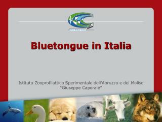 Bluetongue in Italia