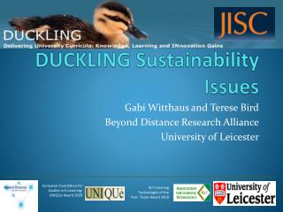 DUCKLING Sustainability Issues