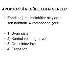 APOPTOZİSİ REGÜLE EDEN GENLER