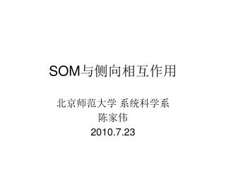 SOM 与侧向相互作用