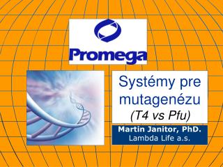 Systémy pre mutagenézu (T4 vs Pfu)