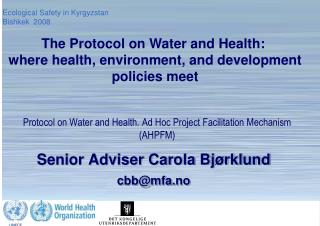 Senior Adviser Carola Bjørklund cbb@mfa.no