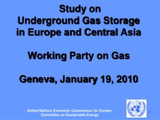United Nations Economic Commission for Europe Committee on Sustainable Energy