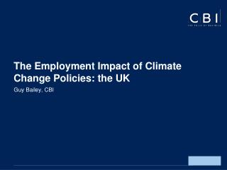 The Employment Impact of Climate Change Policies: the UK