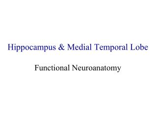 Hippocampus & Medial Temporal Lobe Functional Neuroanatomy