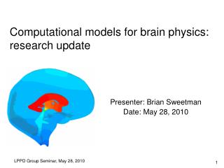 Computational models for brain physics: research update