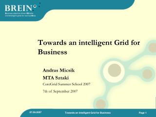 Towards an intelligent Grid for Business