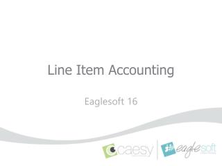 Line Item Accounting