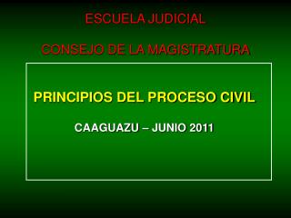 PRINCIPIOS DEL PROCESO CIVIL CAAGUAZU – JUNIO 2011
