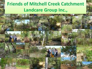 Friends of Mitchell Creek Catchment Landcare Group Inc.,
