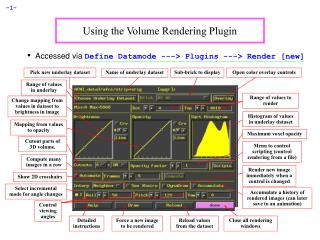 Using the Volume Rendering Plugin