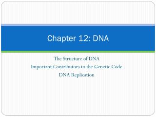 Chapter 12: DNA