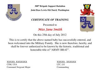 308 th Brigade Support Battalion Joint Base Lewis-McChord, Washington CERTIFICATE OF TRAINING