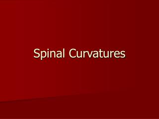 Spinal Curvatures