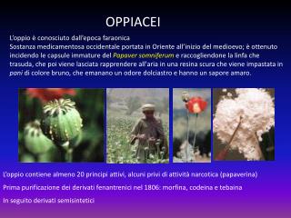 OPPIACEI