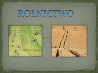 ROLNICTWO