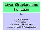 Liver Structure and Function