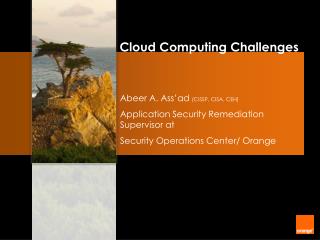 Abeer A. Ass’ad (CISSP, CISA, CEH) Application Security Remediation Supervisor at