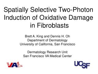 Spatially Selective Two-Photon Induction of Oxidative Damage in Fibroblasts