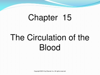 Chapter 15 The Circulation of the Blood
