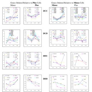 Genes Ordered Relative to Plus Cells Genes Ordered Relative to Minus Cells