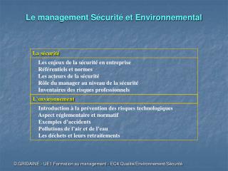 Le management Sécurité et Environnemental