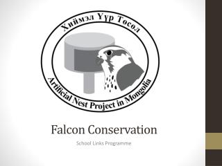 Falcon Conservation