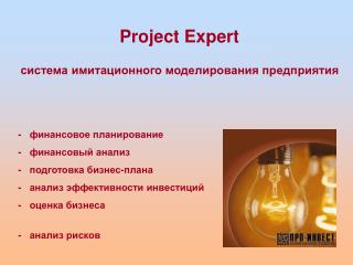Project Expert система имитационного моделирования предприятия