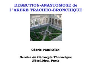 RESECTION-ANASTOMOSE de l ’ARBRE TRACHEO-BRONCHIQUE