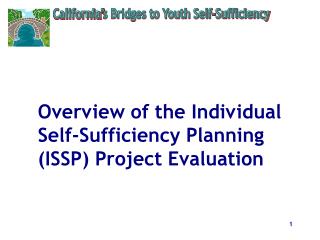 Overview of the Individual Self-Sufficiency Planning (ISSP) Project Evaluation
