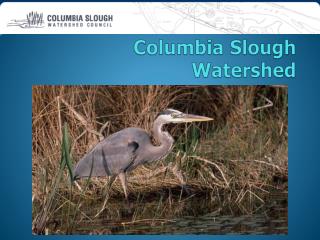 Columbia Slough Watershed